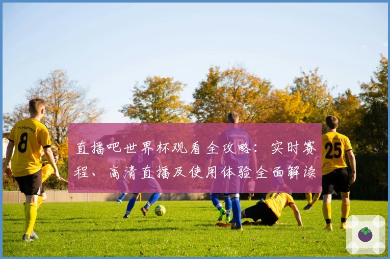 直播吧世界杯观看全攻略：实时赛程、高清直播及使用体验全面解读